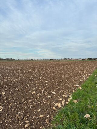 vente Terrain - 281 m² Angliers (17540)