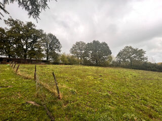  Terrain 3500 m Sansac-de-marmiesse