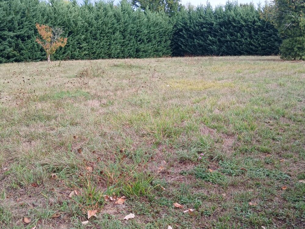 vente Maison - 3 pièce(s) - 85 m² Lisle (24350)
