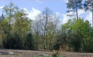  Terrain � vendre 1000 m�