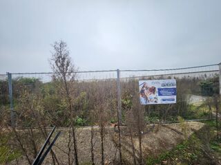  Terrain 350 m Taponas