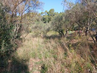  Terrain � vendre 1130 m�