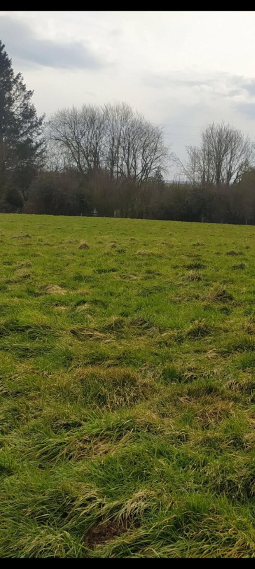 vente Terrain - 500 m² Brunembert (62240)