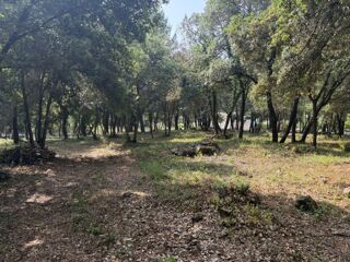  Terrain 1317 m� Biot