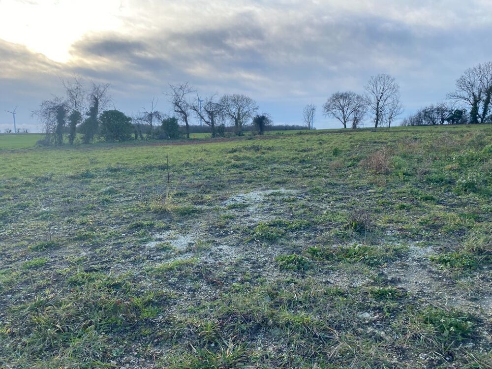 vente Terrain - 422 m² Breuil-Magné (17870)