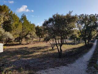  Terrain 1807 m� Saint-restitut