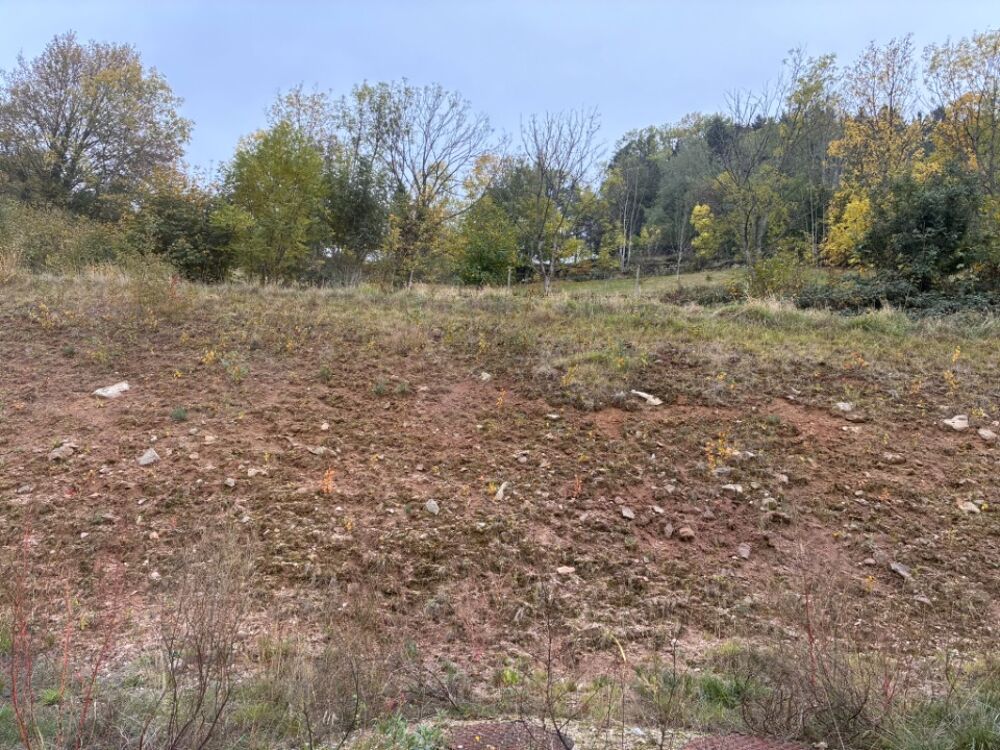 vente Terrain - 843 m² Orbey (68370)