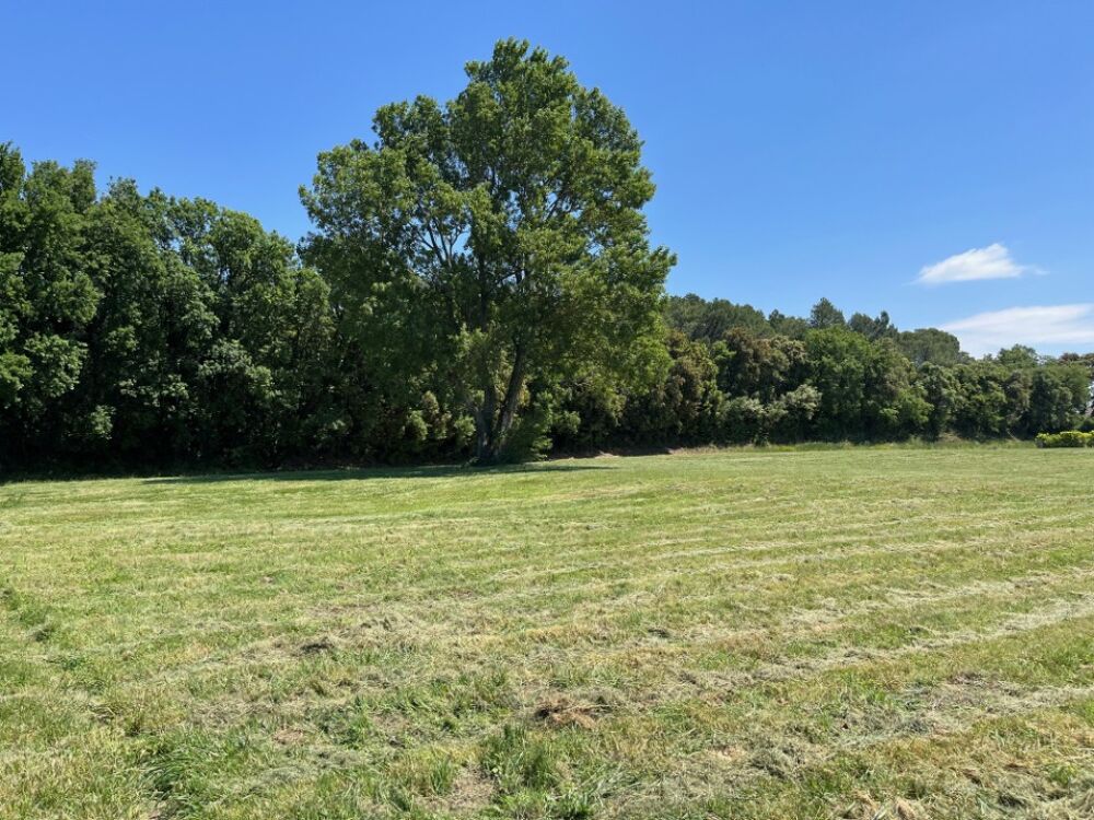 vente Terrain - 520 m² Bollène (84500)