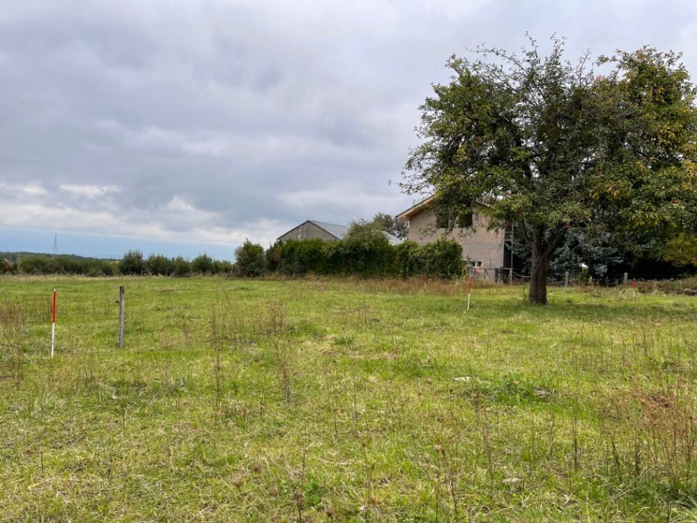 vente Terrain - 611 m² Chevry (01170)