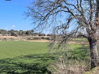  Terrain à vendre 390 m²