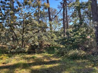  Terrain � vendre 700 m�