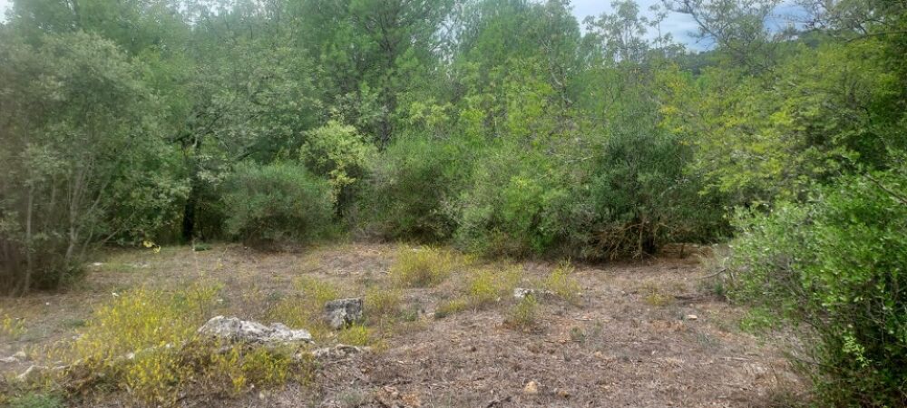 vente Terrain - 620 m² Camps-la-Source (83170)