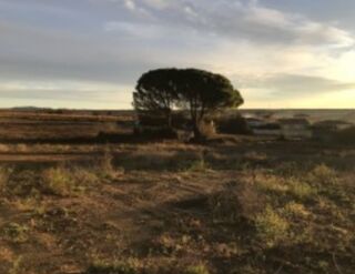  Terrain � vendre 200 m�