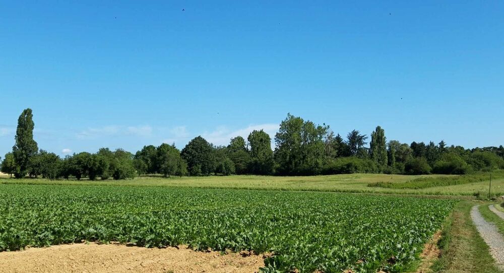 🏡à 6.2 kms de Limours sur la commune de BOULLAY-....