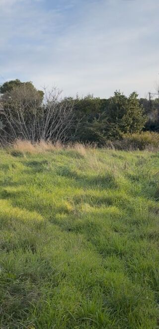  Terrain � vendre 685 m�