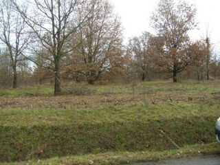  Terrain  vendre 230 m