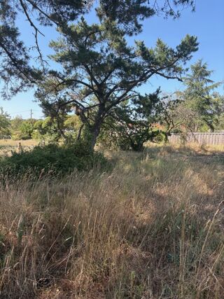  Terrain � vendre 1209 m�