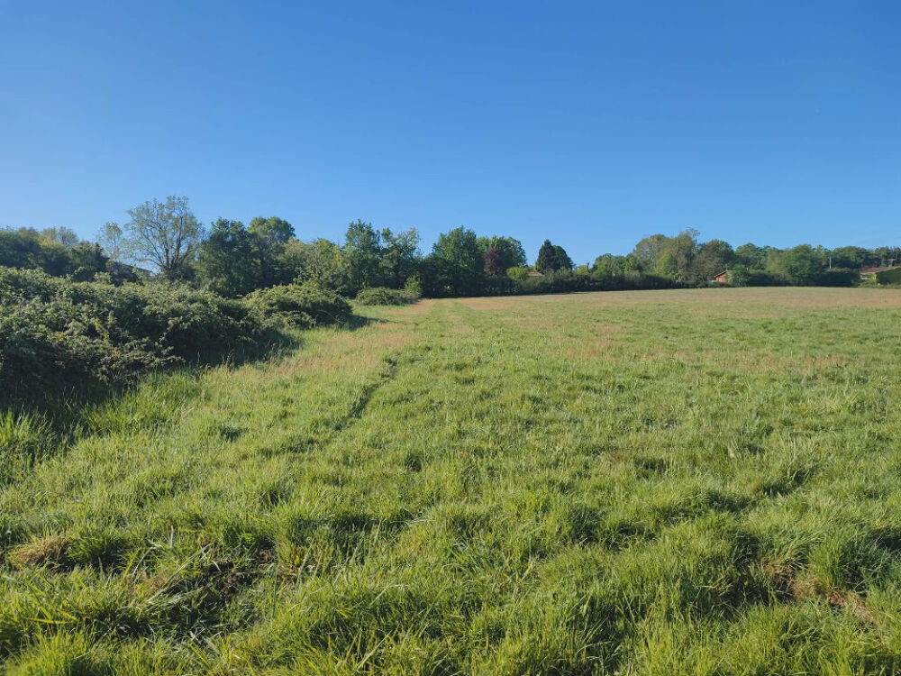 vente Maison - 4 pièce(s) - 84 m² Le Pout (33670)