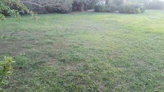  Terrain  vendre 560 m