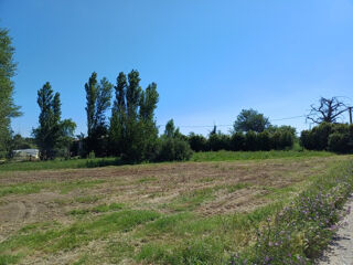  Terrain 856 m� Ponteilla