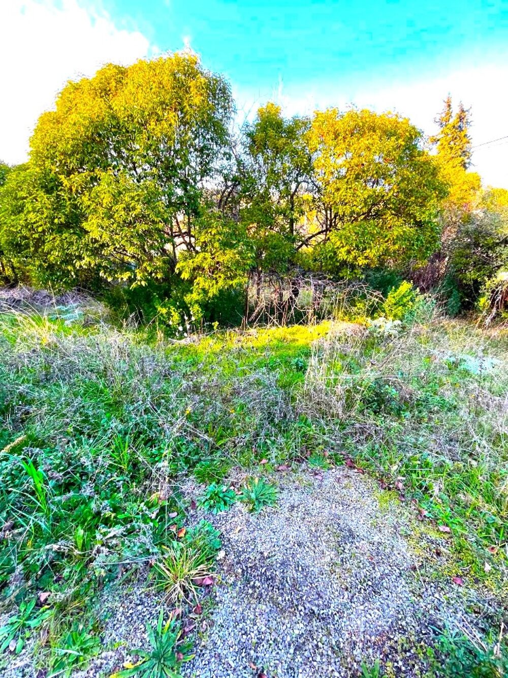 vente Maison - 6 pièce(s) - 140 m² Mougins (06250)