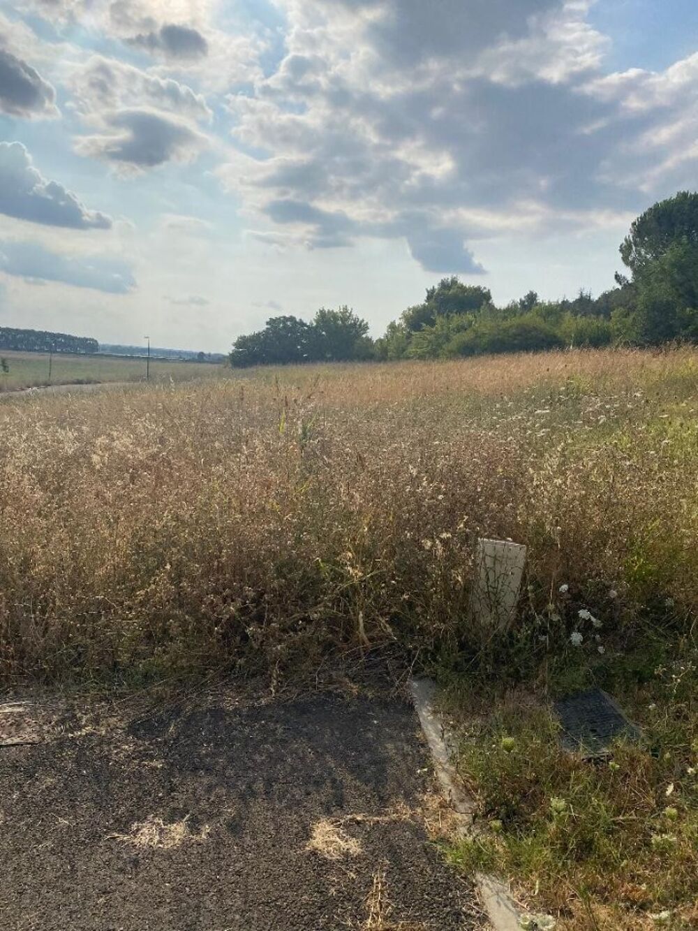 vente Terrain - 600 m² Reyniès (82370)