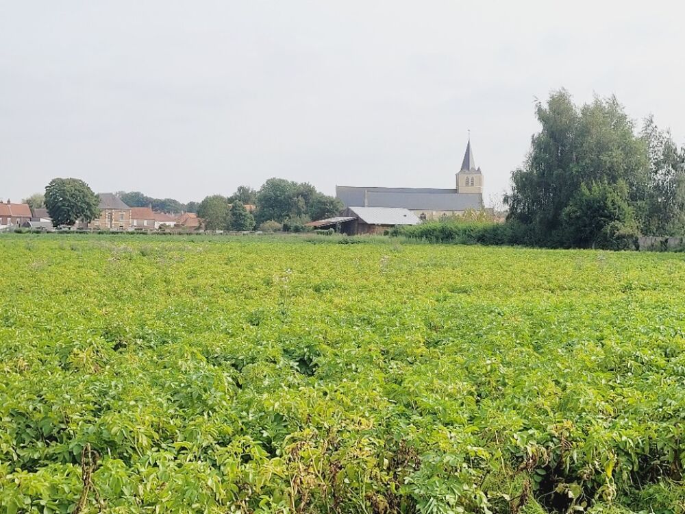 vente Maison - 6 pièce(s) - 115 m² Audruicq (62370)