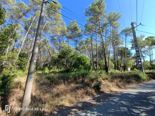  Terrain � vendre 1201 m�