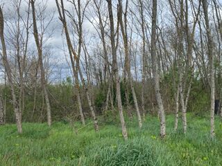  Terrain � vendre 605 m�