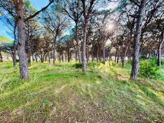 vente Terrain - 705 m² Carqueiranne (83320)