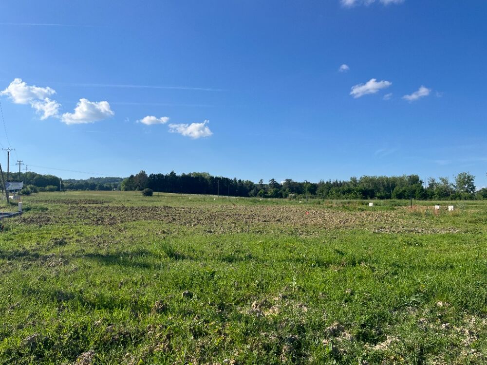 vente Maison - 6 pièce(s) - 145 m² Busque (81300)