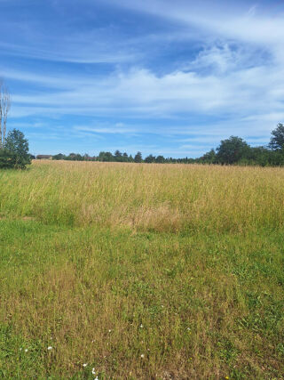  Maison 6 pi�ces 145 m� Cologne