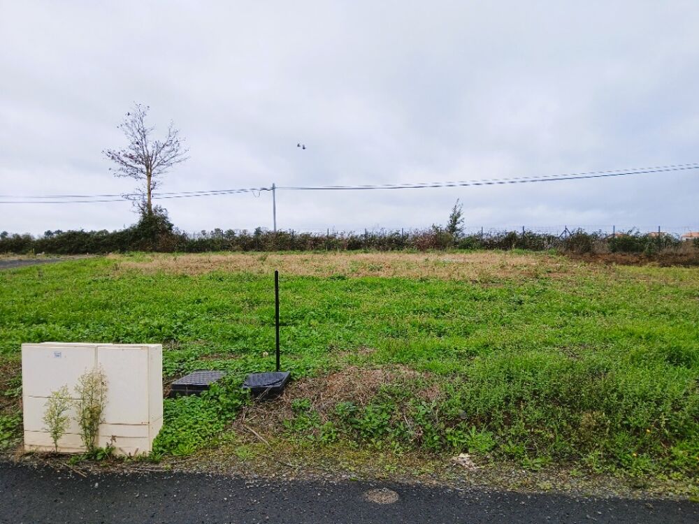 vente Terrain - 476 m² Saint-Georges-de-Montaigu (85600)