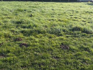  Maison � vendre 5 pi�ces 103 m�