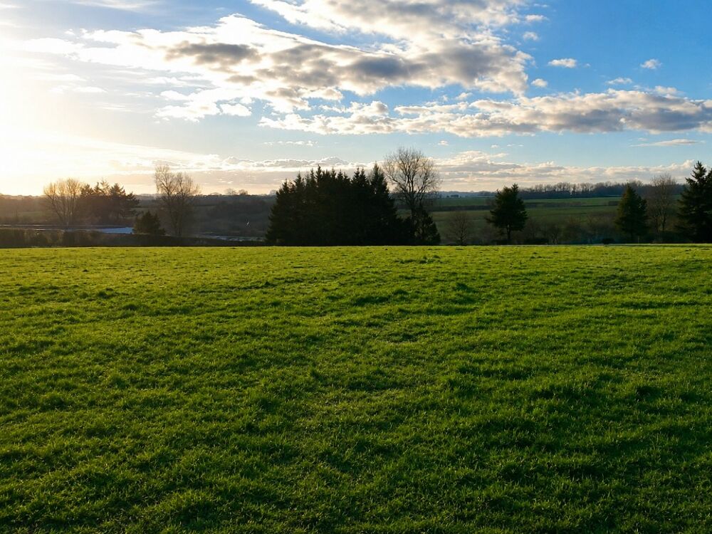 vente Terrain - 1000 m² Richemont (76390)