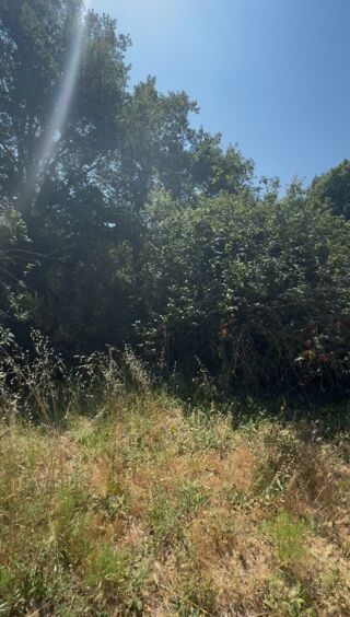  Terrain � vendre 1300 m�