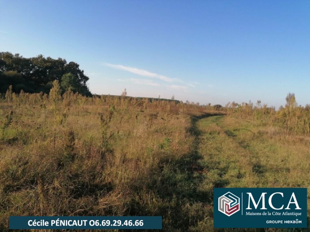 vente Terrain - 600 m² Préchacq-les-Bains (40465)