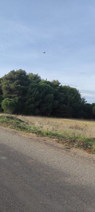  Terrain à vendre 350 m²