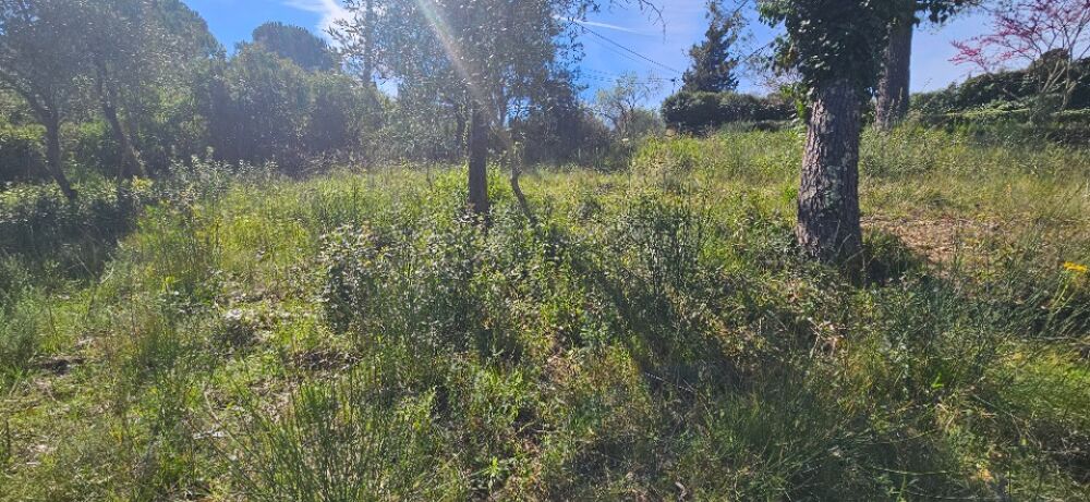 vente Terrain - 1425 m² Peymeinade (06530)