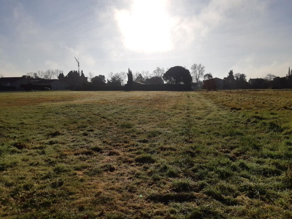 vente Terrain - 350 m² Saint-Jory (31790)