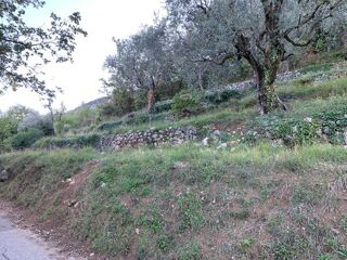  Terrain 1900 m Chteauneuf-villevieille