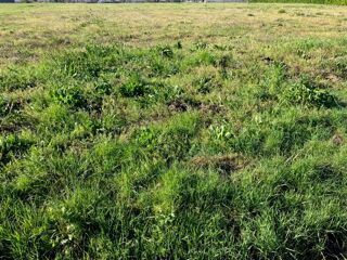  Terrain � vendre 1000 m�