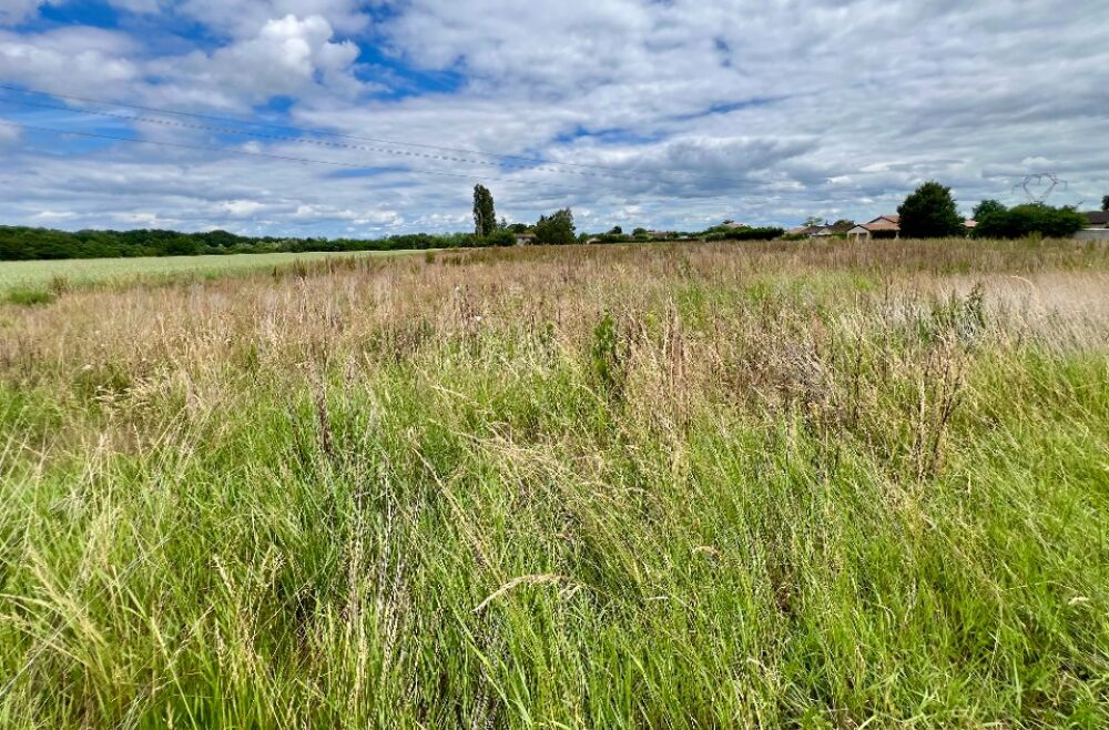 vente Terrain - 861 m² Viré (71260)