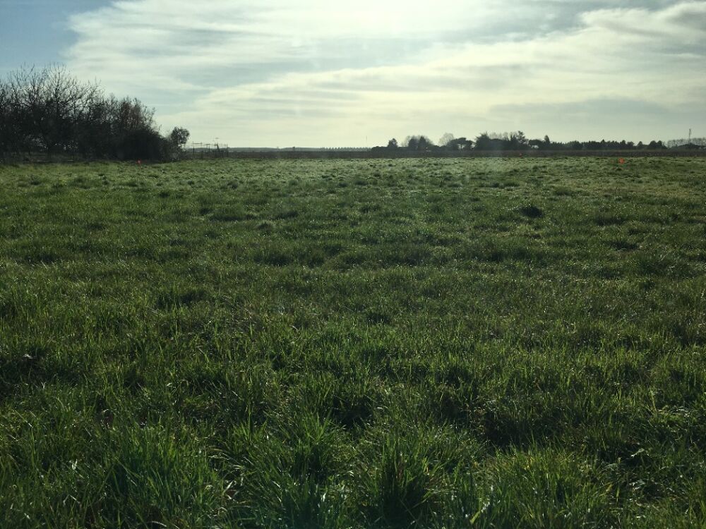 vente Maison - 4 pièce(s) - 122 m² Bouglon (47250)