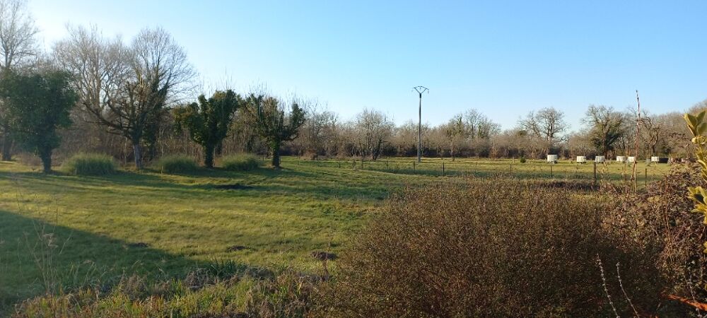 vente Maison - 3 pièce(s) - 85 m² Ménesplet (24700)