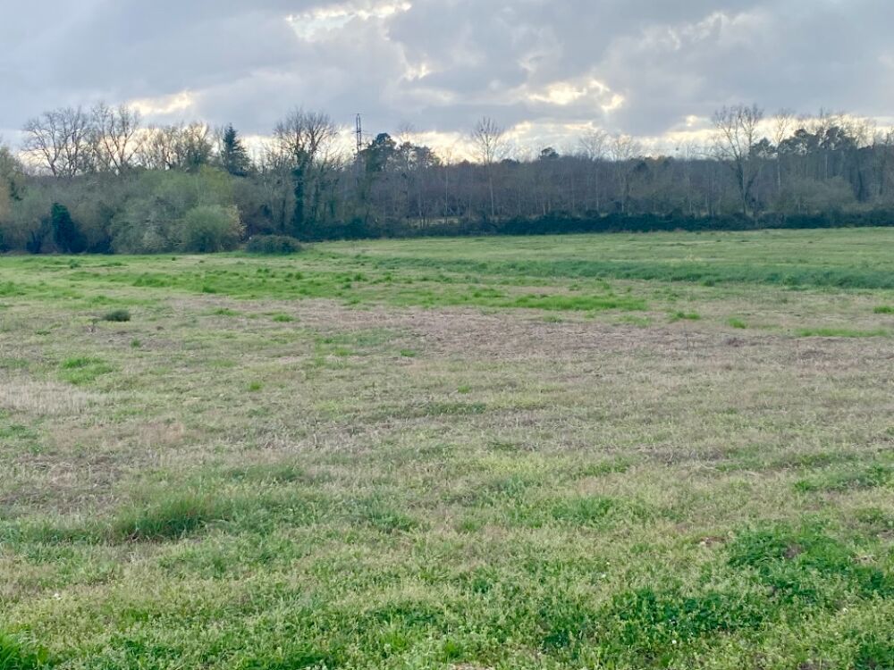 vente Terrain - 705 m² Podensac (33720)