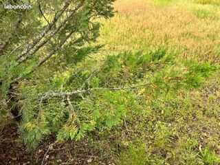  Terrain � vendre 500 m�