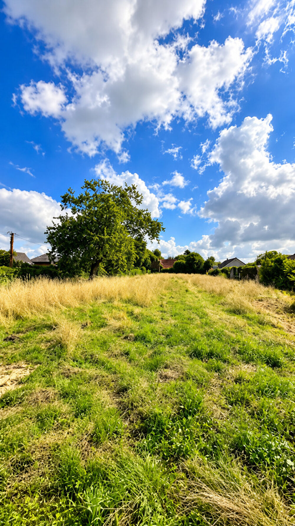 vente Terrain - 520 m² Bachy (59830)