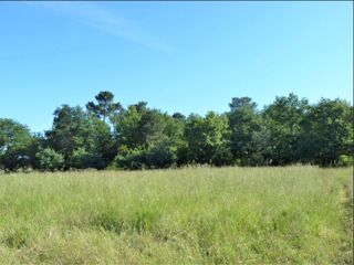  Terrain 727 m� Landiras