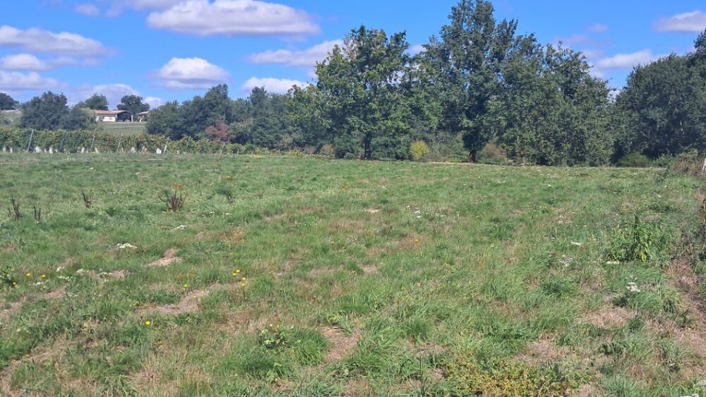 vente Terrain - 2256 m² Boisredon (17150)
